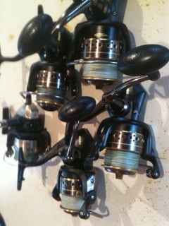 reels