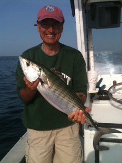bonito (2)