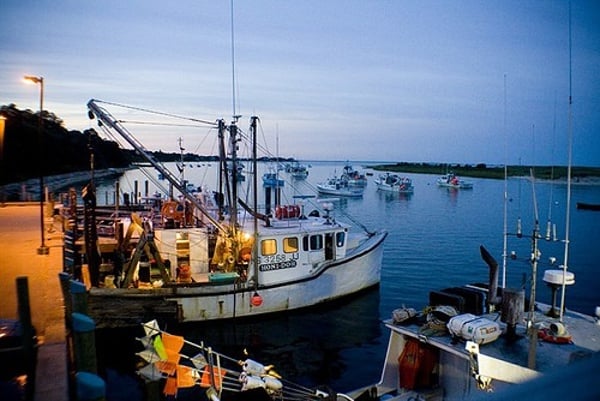 Fish Pier