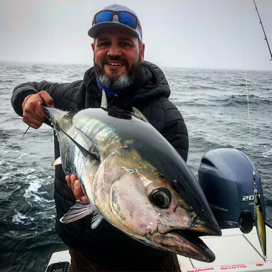 113B7E7A-9E60-4902-B514-815235C74404 (1)