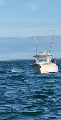 IMG_4890