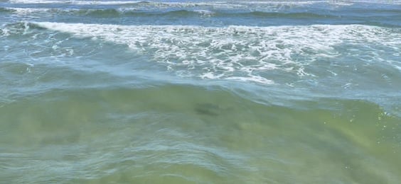 IMG_8663