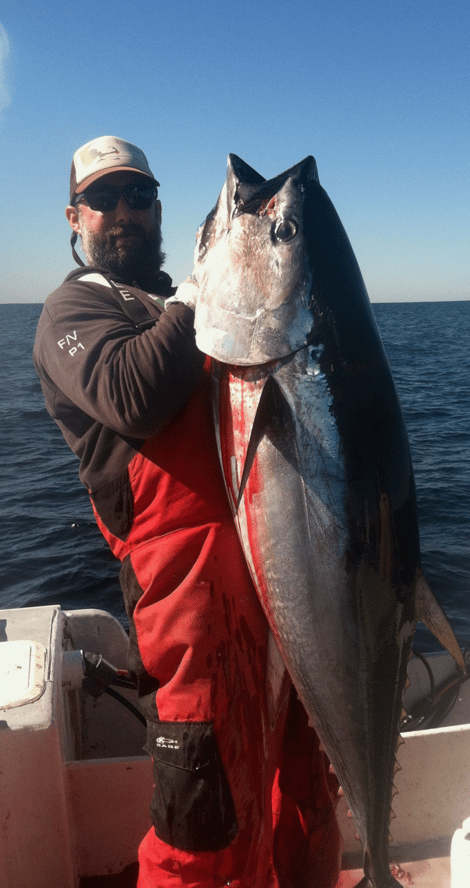 Screenshot 2026-04-06 at 4.05.22 PM