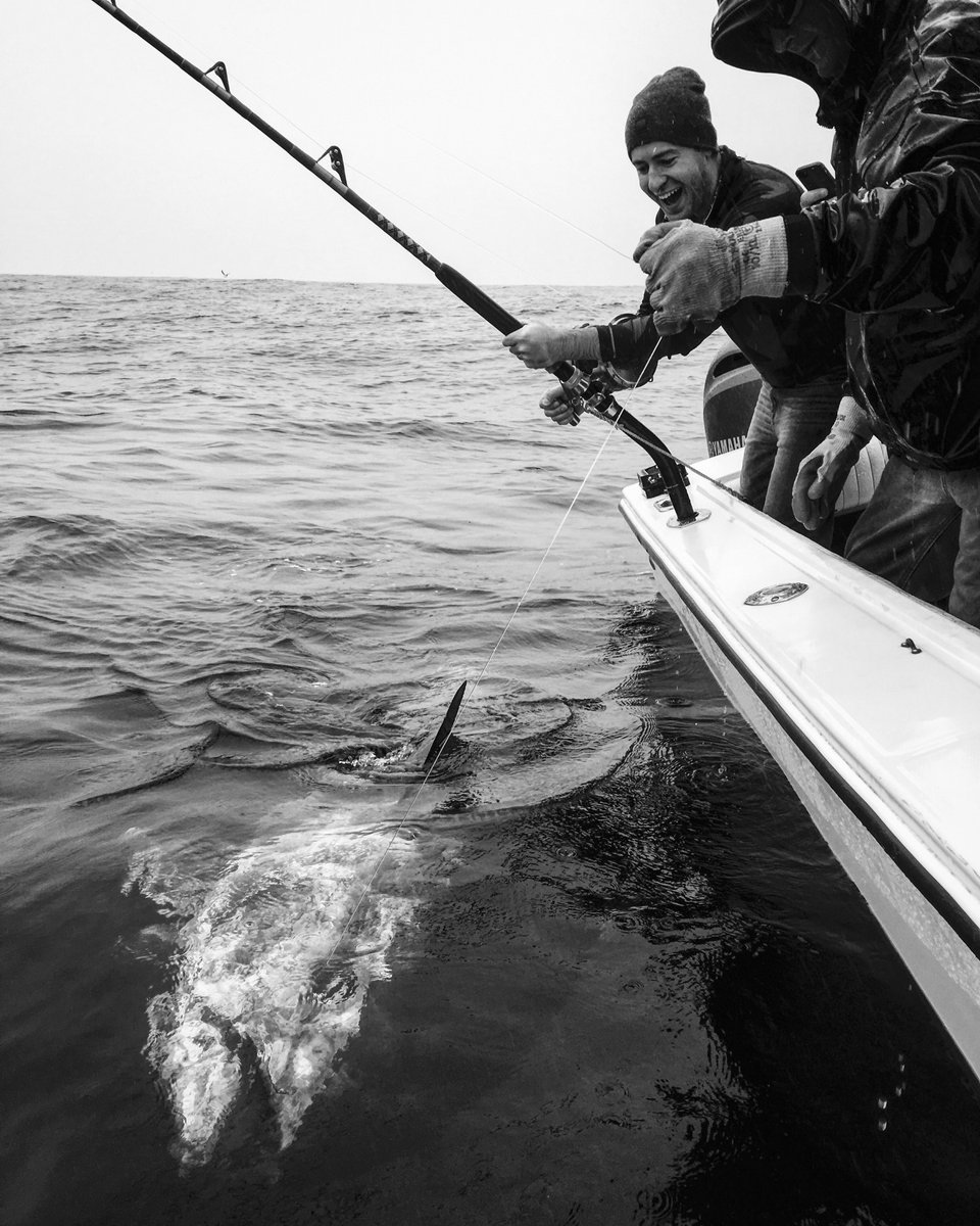 https://www.chathamstriperfishing.com/hs-fs/hubfs/tuna2017.jpg?width=960&height=1200&name=tuna2017.jpg